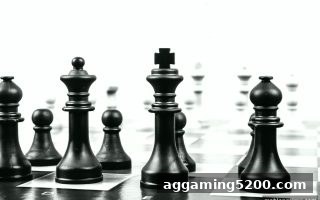 麻将胡了模拟器在线试玩：打鱼机与德州扑克核心术语完全指南