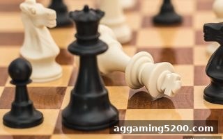 从围棋棋手成长路径看麻将胡了模拟器在线试玩的策略启示
