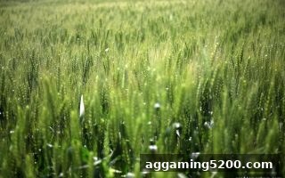 麻将胡了模拟器在线试玩：每日签到福利深度解析，奖励轻松提现至银行卡