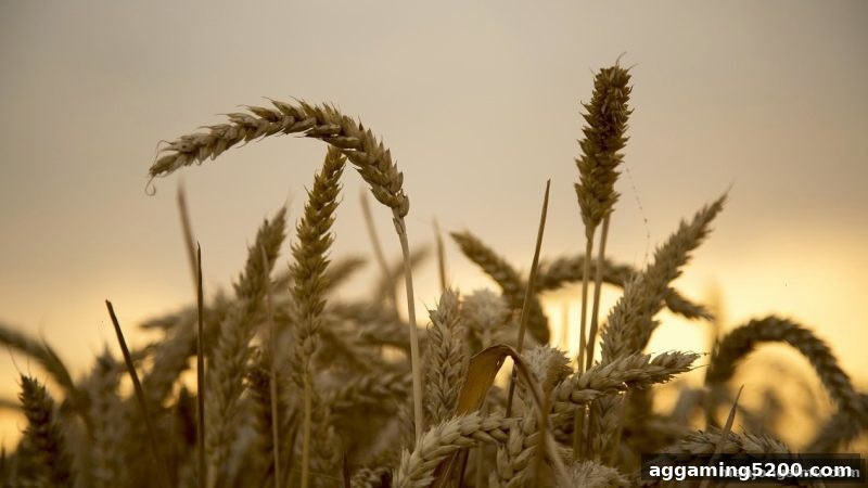 每日返利与生日福利全攻略：麻将胡了模拟器在线试玩平台详解