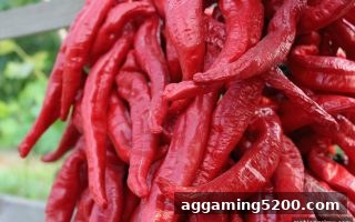 麻将胡了模拟器在线试玩：充值奖励获取与安全指南