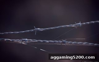 深入掌握维权技巧：在「麻将胡了模拟器在线试玩」中保护权益并获取最新入口
