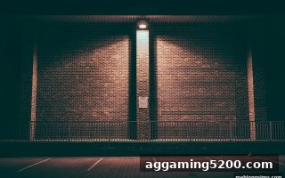 麻将胡了模拟器在线试玩：探秘捕鱼炮台玩法的演变与致胜策略